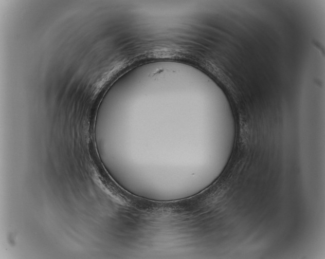 X0000100850530200807111218