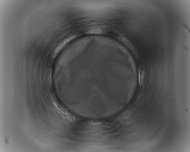 X0000100850531200807111218