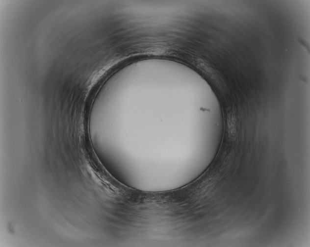 X0000100850532200807111218