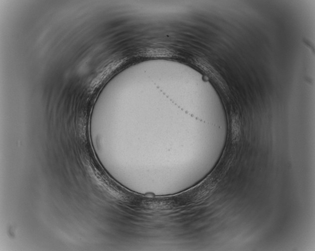 X0000100850533200807111218