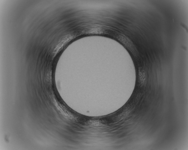 X0000100850534200807111218