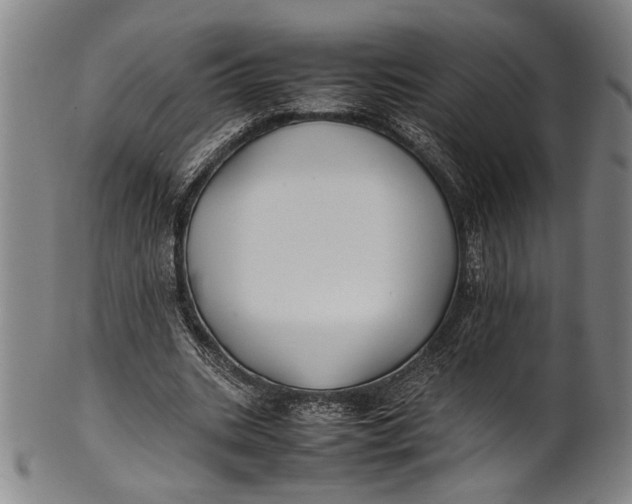 X0000100850535200807111218