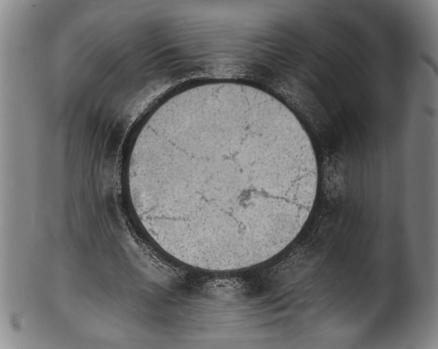 X0000100850536200807111218