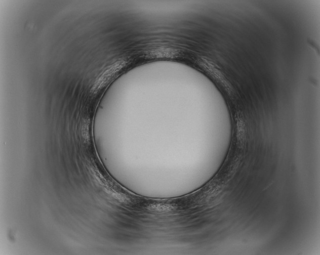 X0000100850537200807111218