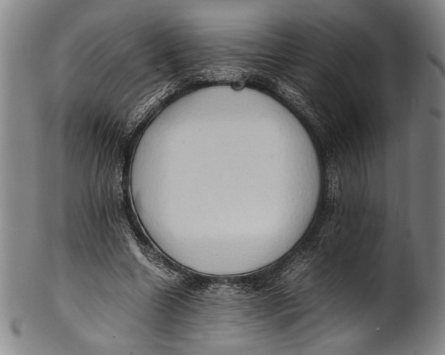 X0000100850538200807111218