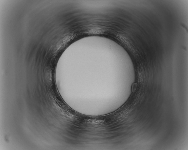 X0000100850539200807111218