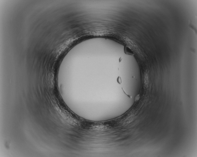 X0000100850540200807111218