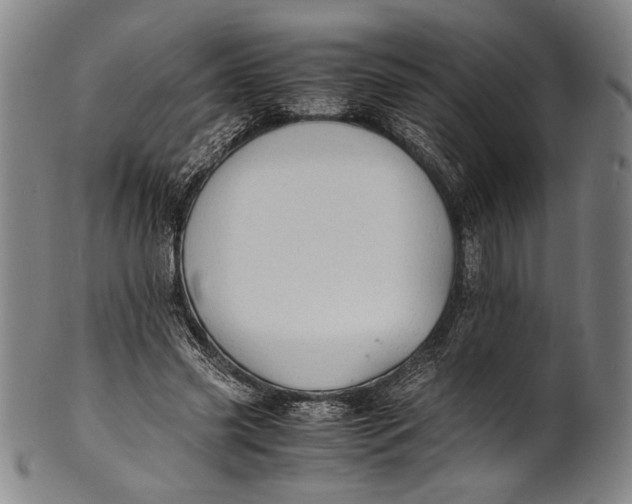 X0000100850541200807111218