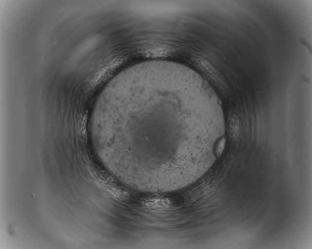 X0000100850543200807111218