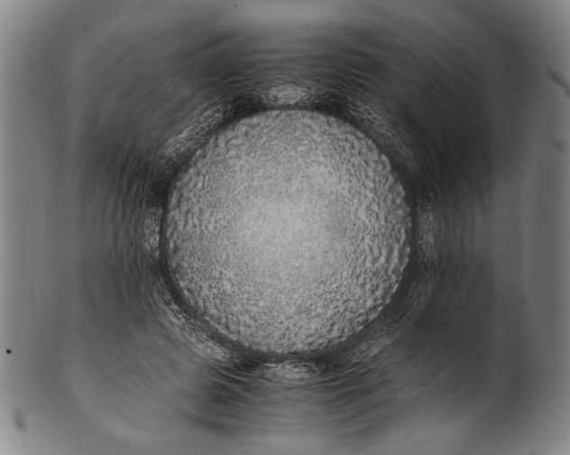 X0000100850545200807111218