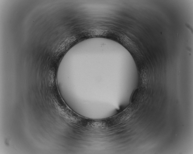 X0000100850546200807111218