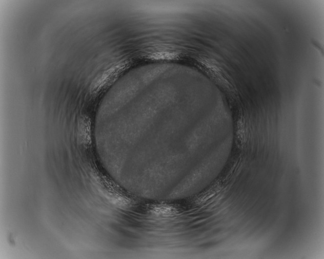 X0000100850547200807111218