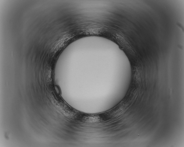 X0000100850548200807111218