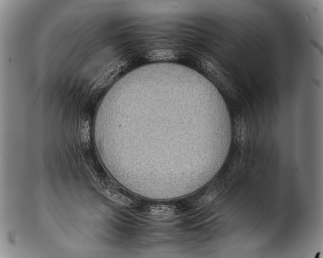 X0000100850549200807111218