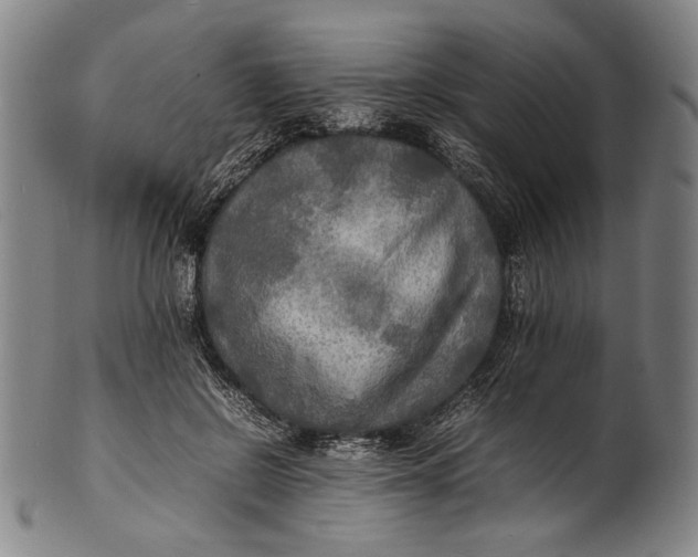 X0000100850550200807111218