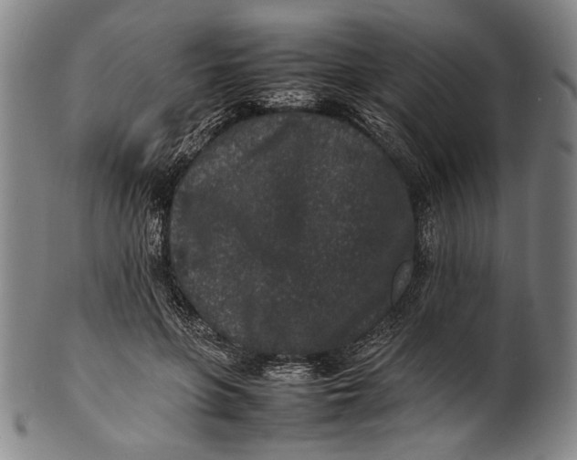 X0000100850551200807111218