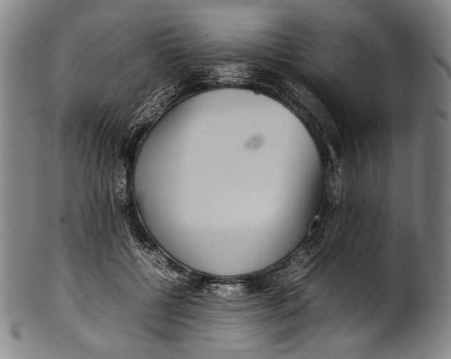 X0000100850552200807111218