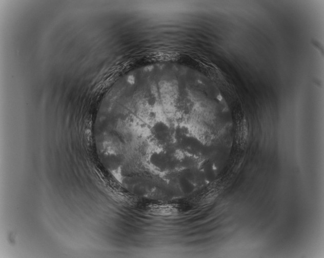 X0000100850553200807111218