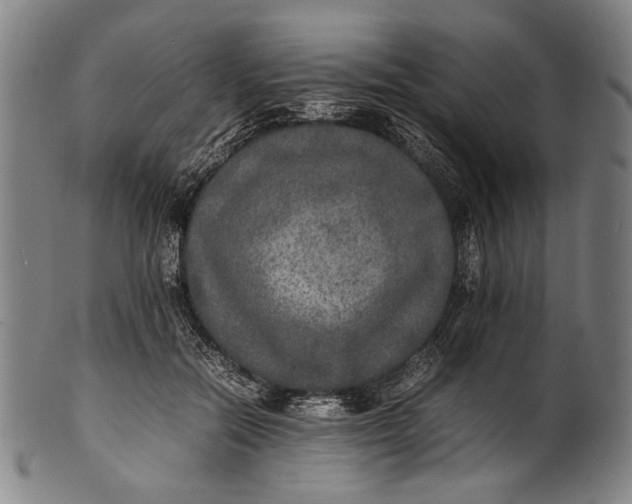 X0000100850554200807111218