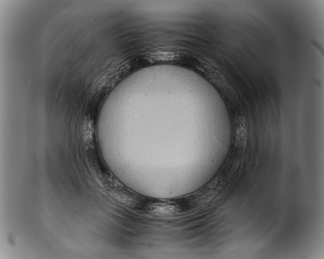 X0000100850555200807111218