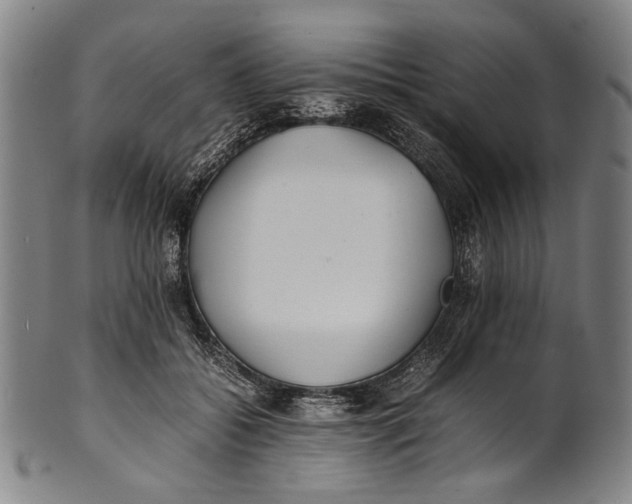 X0000100850556200807111218