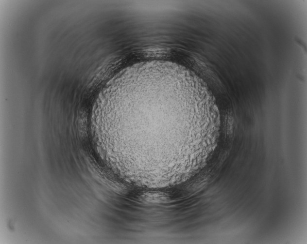 X0000100850557200807111218