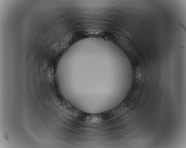 X0000100850559200807111218