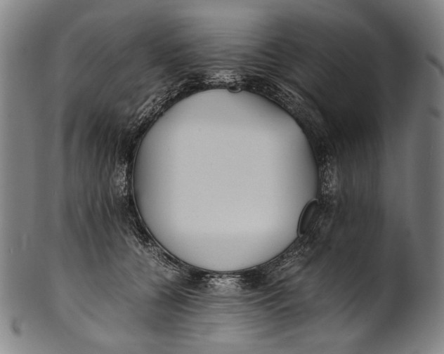 X0000100850560200807111219