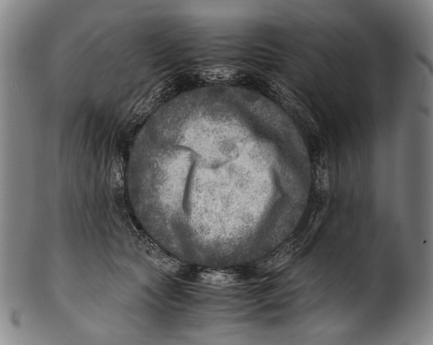 X0000100850561200807111219