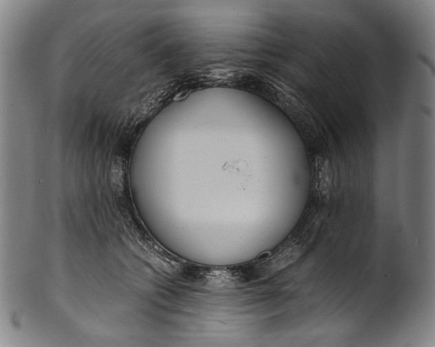 X0000100850562200807111219