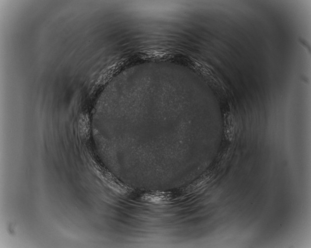 X0000100850563200807111219