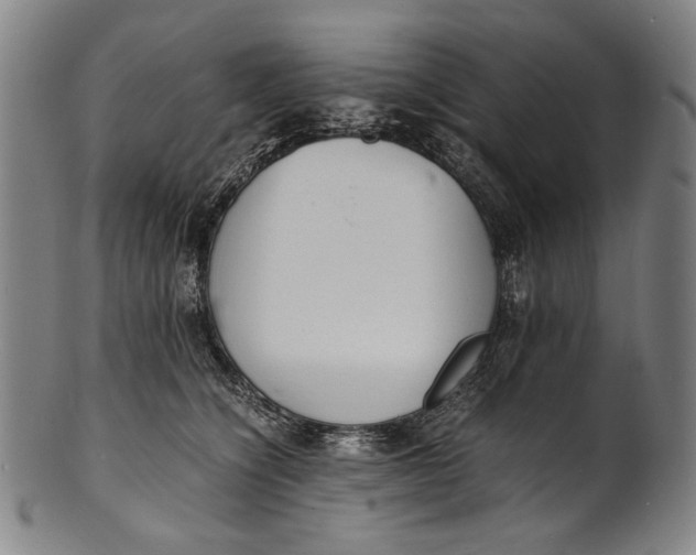 X0000100850564200807111219