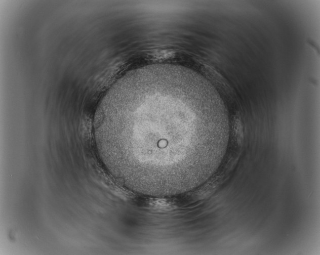 X0000100850565200807111219