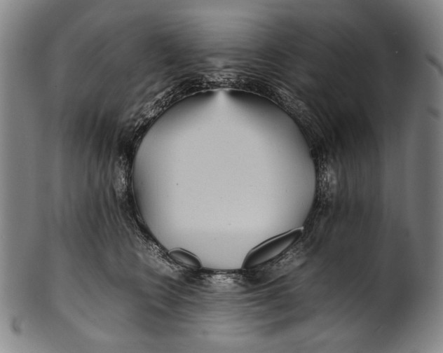 X0000100850566200807111219