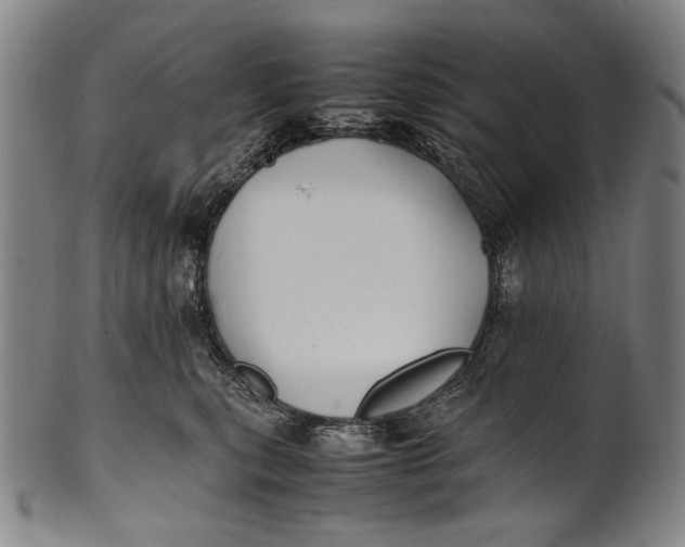 X0000100850567200807111219