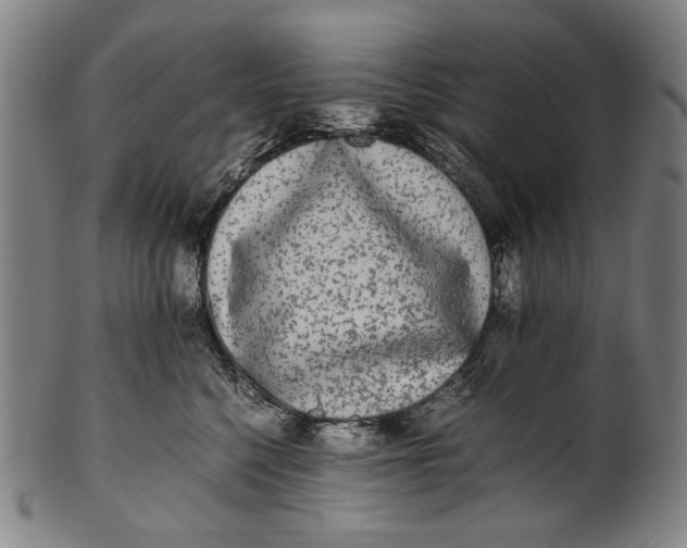 X0000100850568200807111219