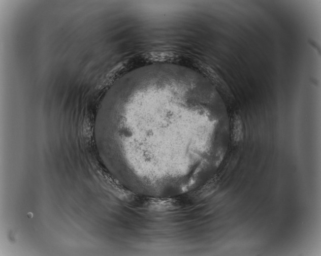 X0000100850569200807111219