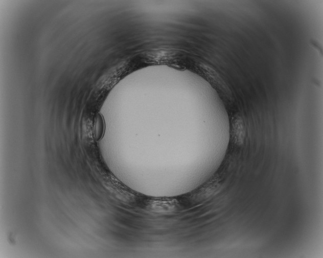 X0000100850571200807111219