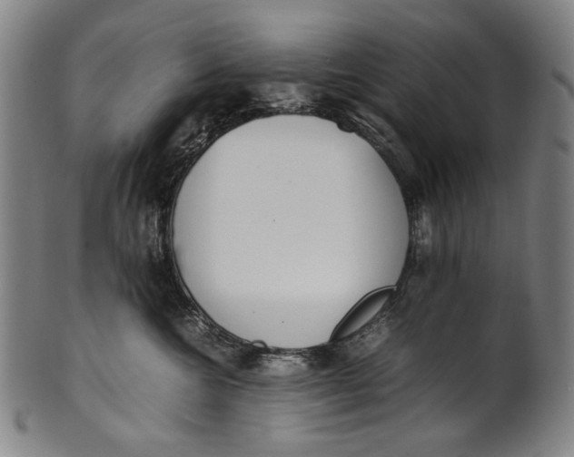 X0000100850572200807111219