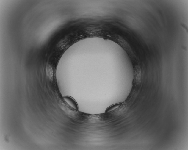 X0000100850574200807111219