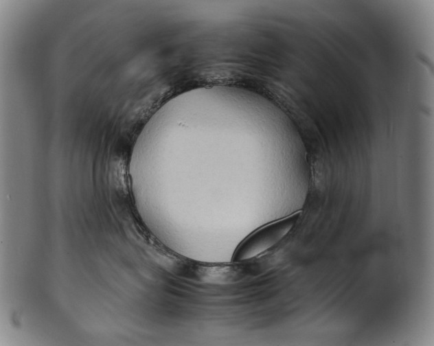 X0000100850575200807111219