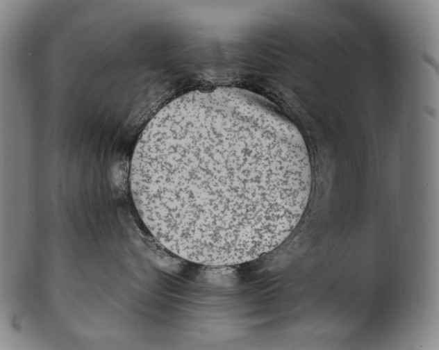 X0000100850576200807111219