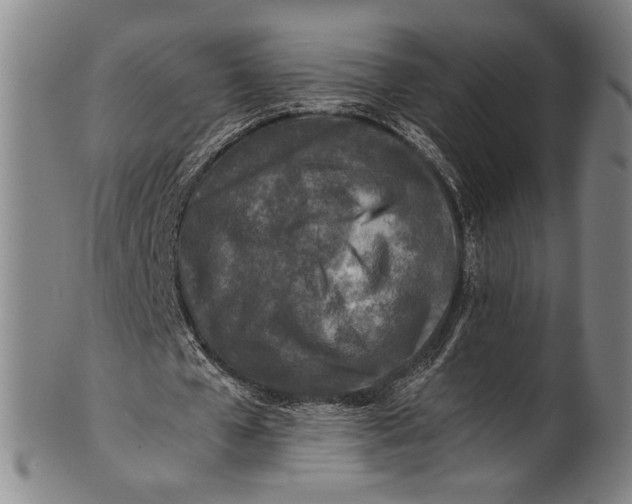 X0000100850577200807111218