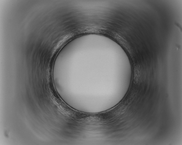 X0000100850578200807111218