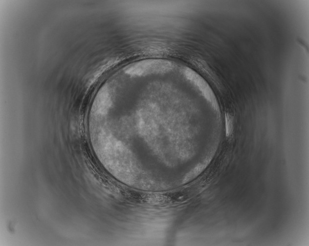 X0000100850579200807111218