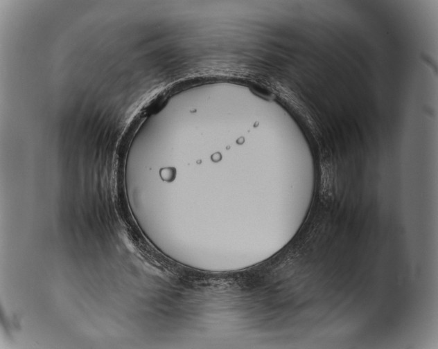 X0000100850580200807111218