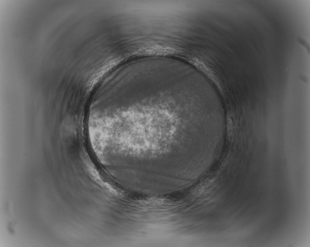 X0000100850581200807111218