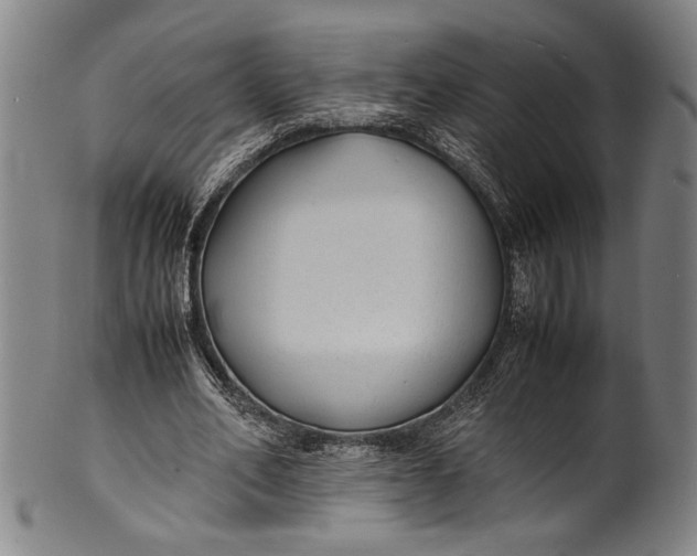 X0000100850582200807111218