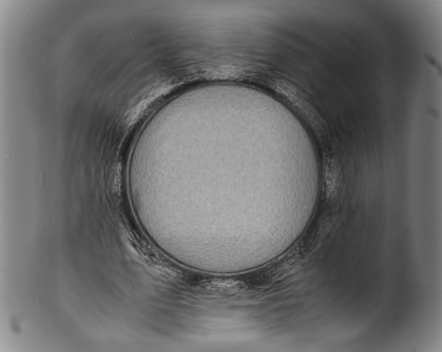 X0000100850583200807111218