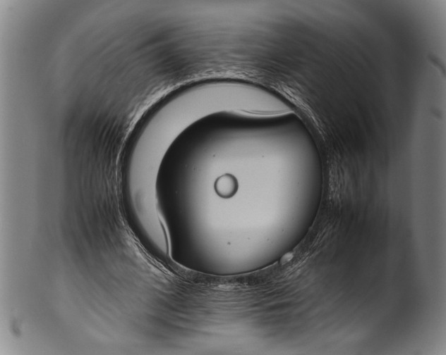 X0000100850584200807111218